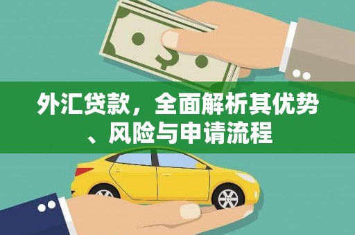 五峰外汇贷款，全面解析其优势、风险与申请流程