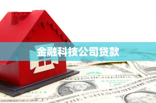 五峰金融科技公司贷款