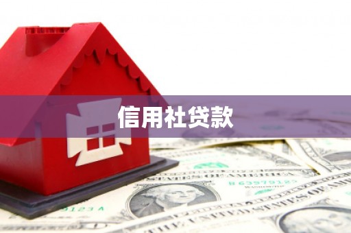 五峰信用社贷款