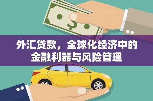五峰外汇贷款，全球化经济中的金融利器与风险管理