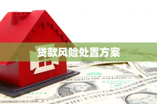 五峰贷款风险处置方案