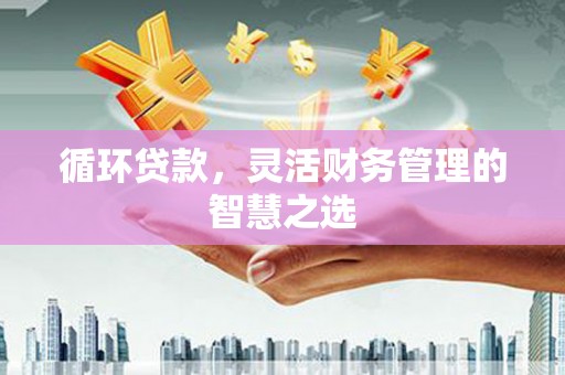 五峰循环贷款，灵活财务管理的智慧之选