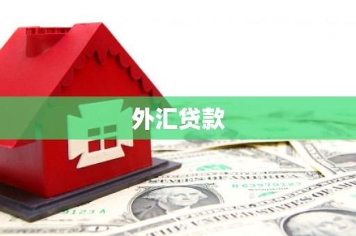 五峰外汇贷款