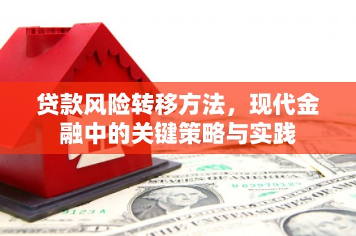 五峰贷款风险转移方法，现代金融中的关键策略与实践