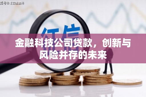 五峰金融科技公司贷款，创新与风险并存的未来