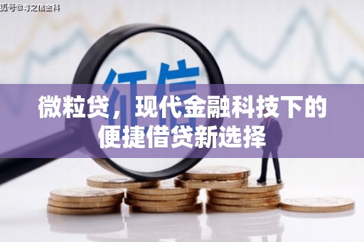 五峰微粒贷，现代金融科技下的便捷借贷新选择