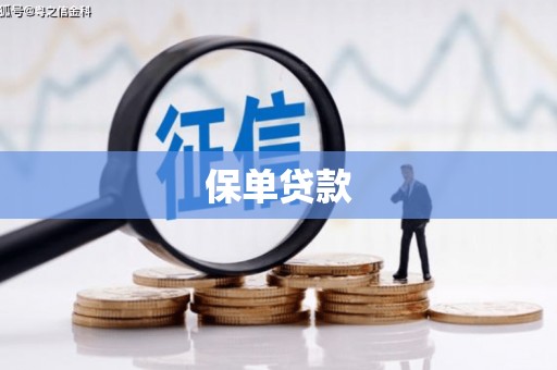 五峰保单贷款