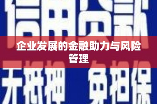 五峰企业发展的金融助力与风险管理