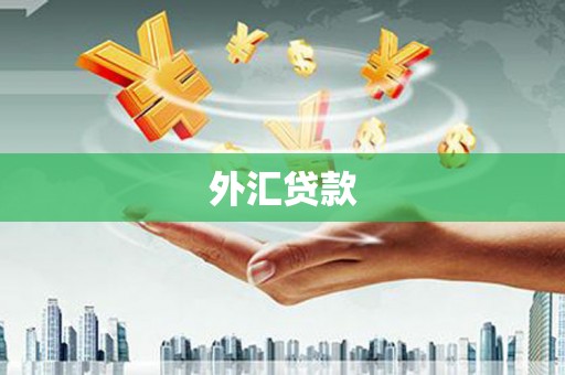 五峰外汇贷款