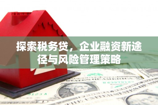 五峰探索税务贷，企业融资新途径与风险管理策略