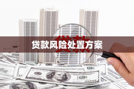 五峰贷款风险处置方案