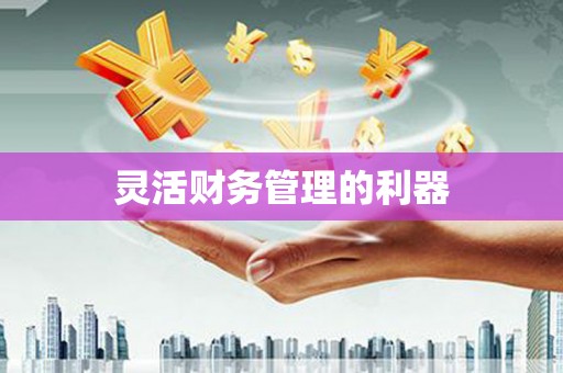 五峰灵活财务管理的利器