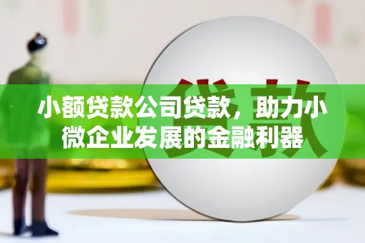 五峰小额贷款公司贷款，助力小微企业发展的金融利器