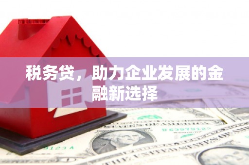 五峰税务贷，助力企业发展的金融新选择