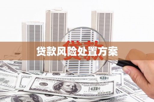 五峰贷款风险处置方案