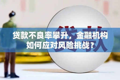 五峰贷款不良率攀升，金融机构如何应对风险挑战？