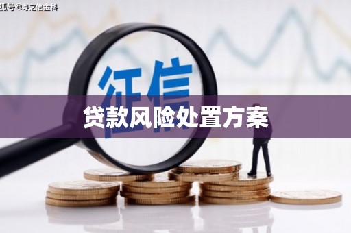 五峰贷款风险处置方案