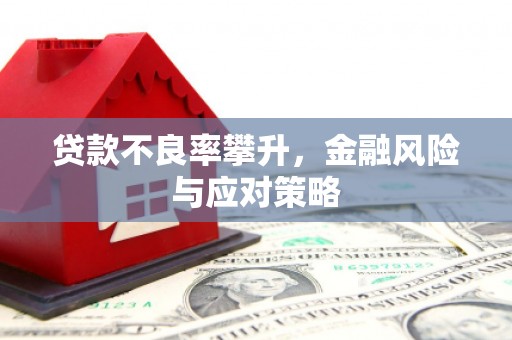 五峰贷款不良率攀升，金融风险与应对策略
