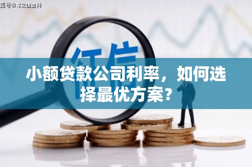 五峰小额贷款公司利率，如何选择最优方案？