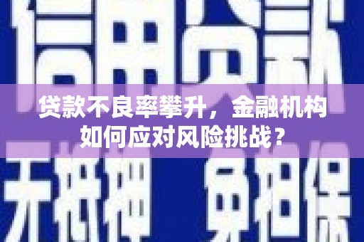 五峰贷款不良率攀升，金融机构如何应对风险挑战？