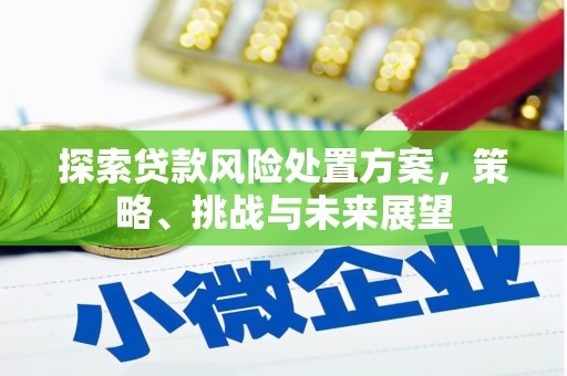 五峰探索贷款风险处置方案，策略、挑战与未来展望