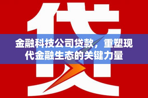 五峰金融科技公司贷款，重塑现代金融生态的关键力量