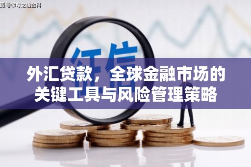 五峰外汇贷款，全球金融市场的关键工具与风险管理策略