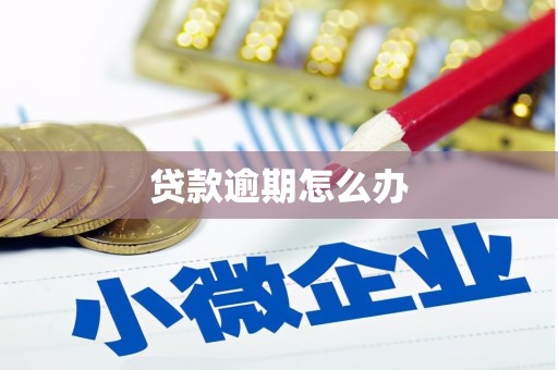 五峰贷款逾期怎么办