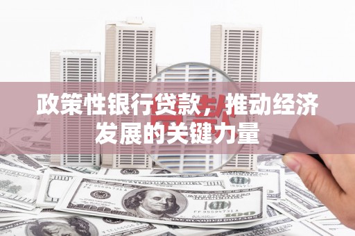 五峰政策性银行贷款，推动经济发展的关键力量
