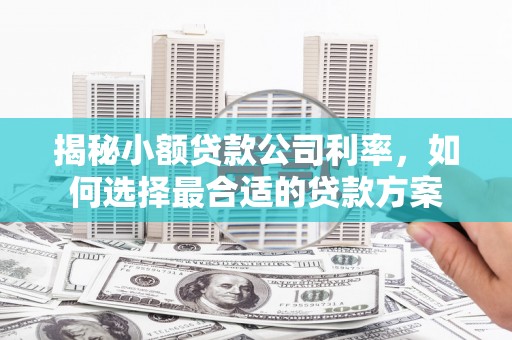 五峰揭秘小额贷款公司利率，如何选择最合适的贷款方案