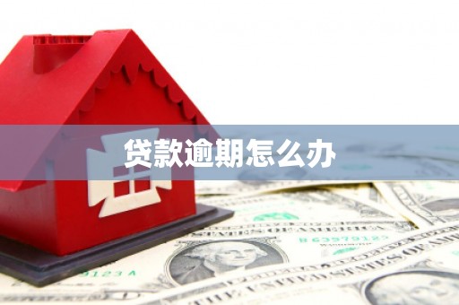 五峰贷款逾期怎么办
