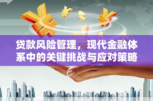 五峰贷款风险管理，现代金融体系中的关键挑战与应对策略