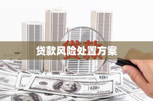 五峰贷款风险处置方案