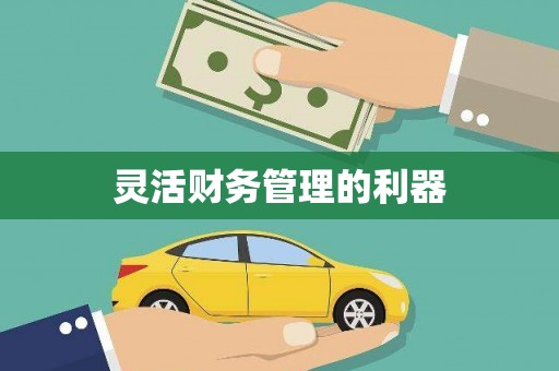 五峰灵活财务管理的利器
