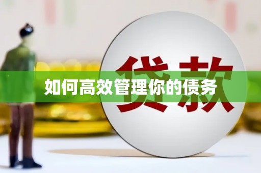 五峰如何高效管理你的债务