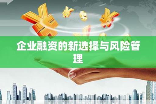 五峰企业融资的新选择与风险管理