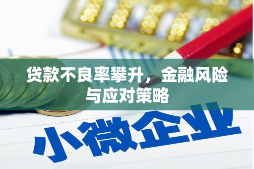 五峰贷款不良率攀升，金融风险与应对策略